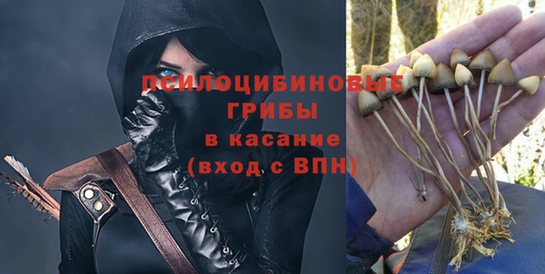дурь Нязепетровск