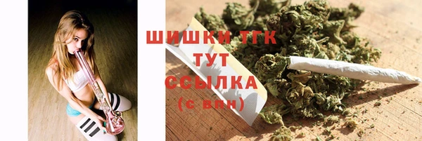 прущая мука Няндома