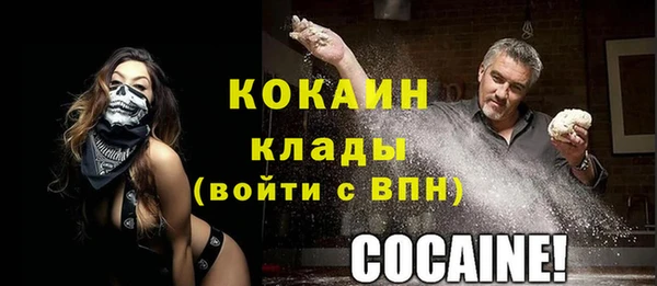 прущая мука Няндома