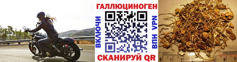 купить закладку  ссылка на мегу зеркало  Псилоцибиновые грибы мицелий  маркетплейс формула  Порхов 