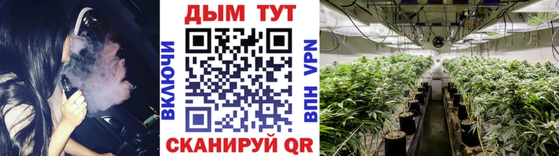 Шишки марихуана THC 21%  наркота  Порхов 